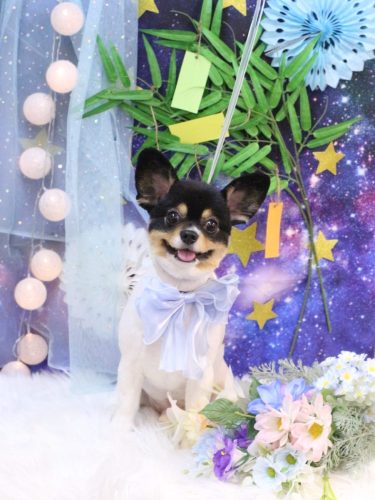 20250703キンパくん